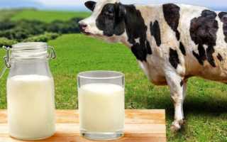 Отравление у человека молоком