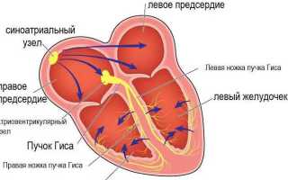 Мерцательная аритмия сердца – симптомы и лечение