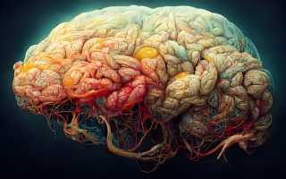 Сужение сосудов головного мозга